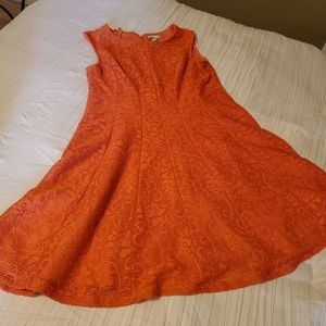 Dress Barn Fit and Flare Dress
